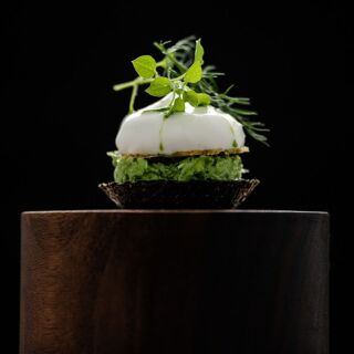 Cuchara - 4