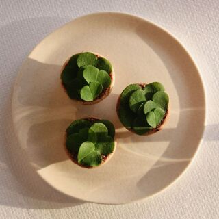L'Appart - 2