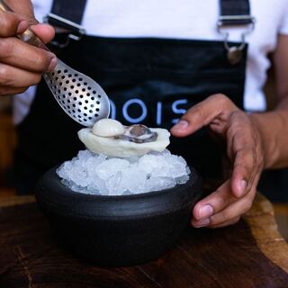 Nois - 4