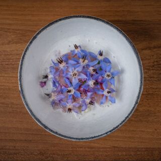 milpa - Osaka - 4