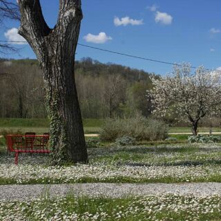 L'Argine a Vencò - Dolegna del Collio - 2