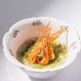Brustin - Chengdu - 11
