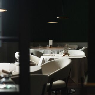 roots - Basel - 6