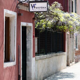 Wistèria - 3