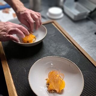 L'Œuf de Coq - Lavaur - 3