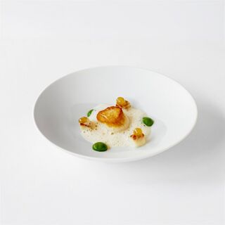 Bisque - 1