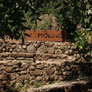 El Molino - 1