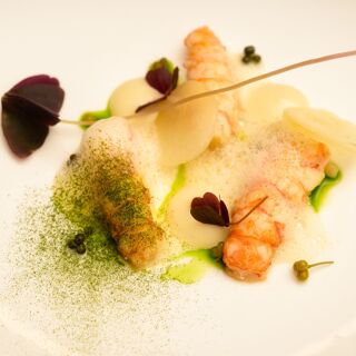 Allium at Askham Hall - 3