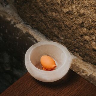 Allegar - 4