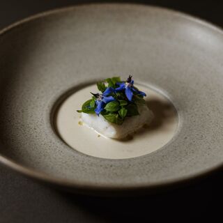 Krug - Split - 7
