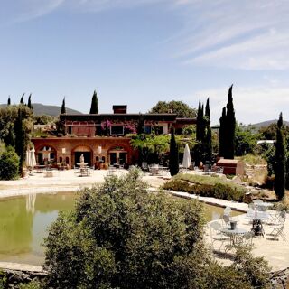 Karnas Vineyards - Bodrum - 6