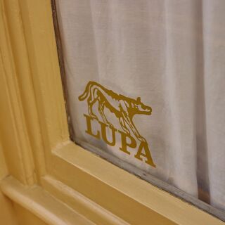 Lupa - 3