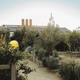 Bruma Wine Garden - 6