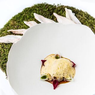 Aponiente - 3