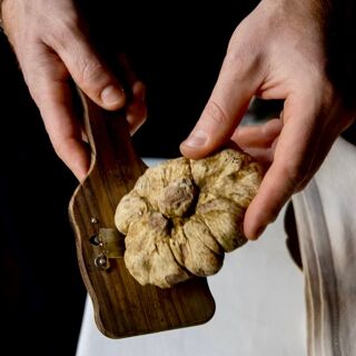 Ippogrifo - Gênes - 2