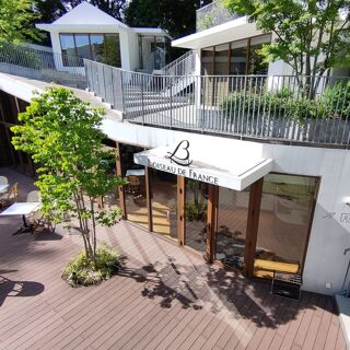 Loiseau de France - Tokyo - 1