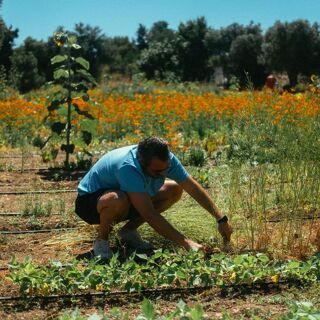 Vino Locale - Izmir - 3