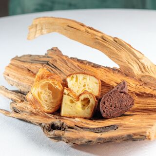 Dissapore di Andrea Catalano - 1