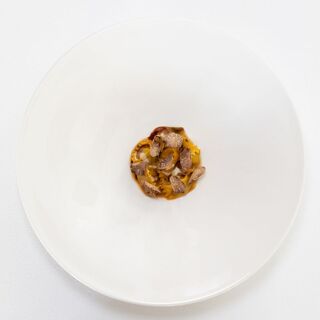 Principe di Belludia - 6