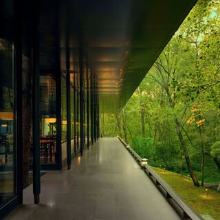 Purple Mountain Garden - Nanjing - 3
