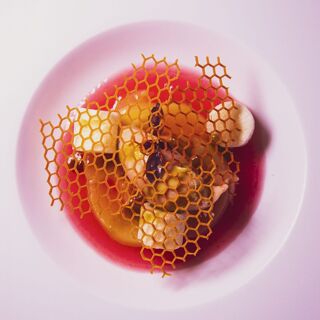 Le Puits Saint Jacques - 8