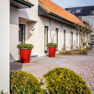 Lijsterbes - 2