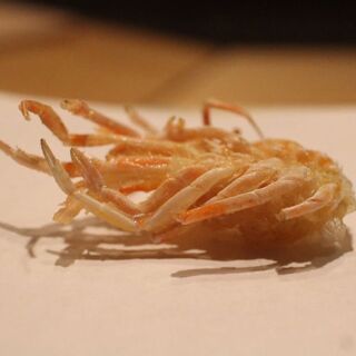 Tempura Kitagawa - 2