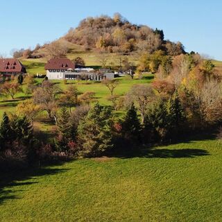 Hofgut Hohenkarpfen - Hausen ob Verena - 19