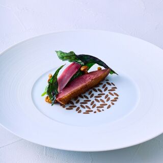 Plaiga TOKYO - 1