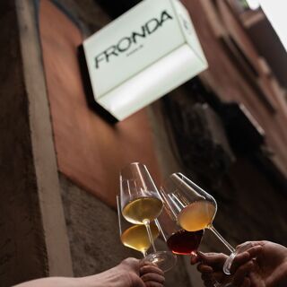 Fronda Pasaje - 1