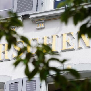 Hirschen - 1