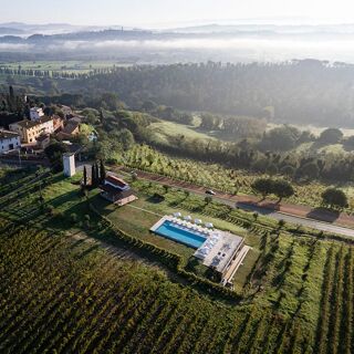 Cannavacciuolo Vineyard - Casanova di Terricciola - 1