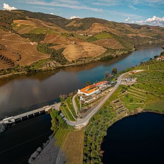 Quinta do Tedo Familia Geadas - 3