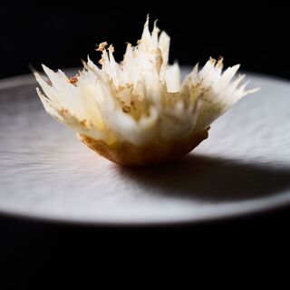 Aska - Brooklyn - 15