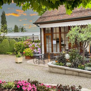Le bistrot du Lion d’Or - 4