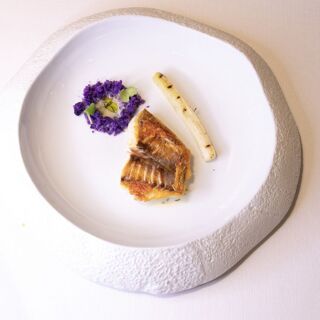 Gioia - Madrid - 4