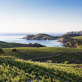 Les Clos de Paulilles - Port-Vendres - 2