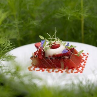 Les Jardins Sauvages - La Grée des Landes - 0