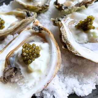 The Establishment - 24