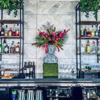 Siren Social Club - 3