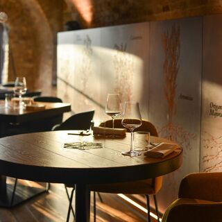 Radici ristorante in vigna - 2