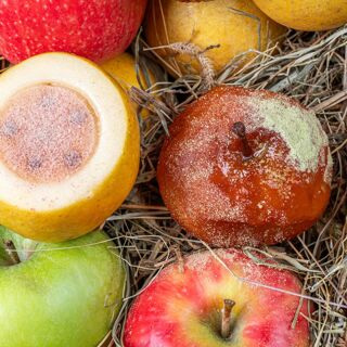 L'Oustau de Baumanière - 1