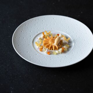 NOVO New Dining - 8