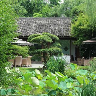 Longjing Manor - Hangzhou - 15