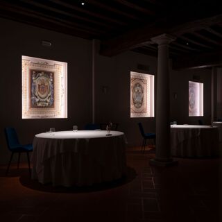 Dama - Cervesina - 11
