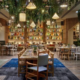 Pip - Manchester - 4