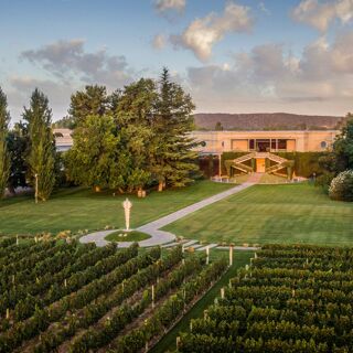 La Vid - Bodega Norton - Mendoza - 0