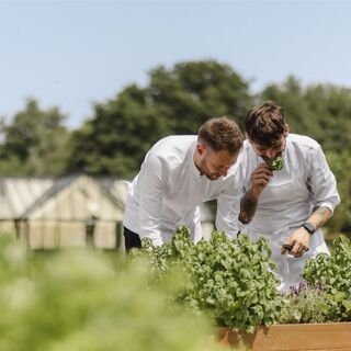 Meneghetti - Bale - 10