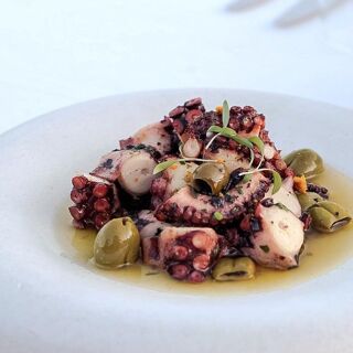 Hodan Yalıkavak - 0