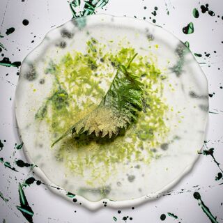 Adrián Quetglas - Palma - 12